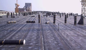 綿陽(yáng)防水卷材防水卷材